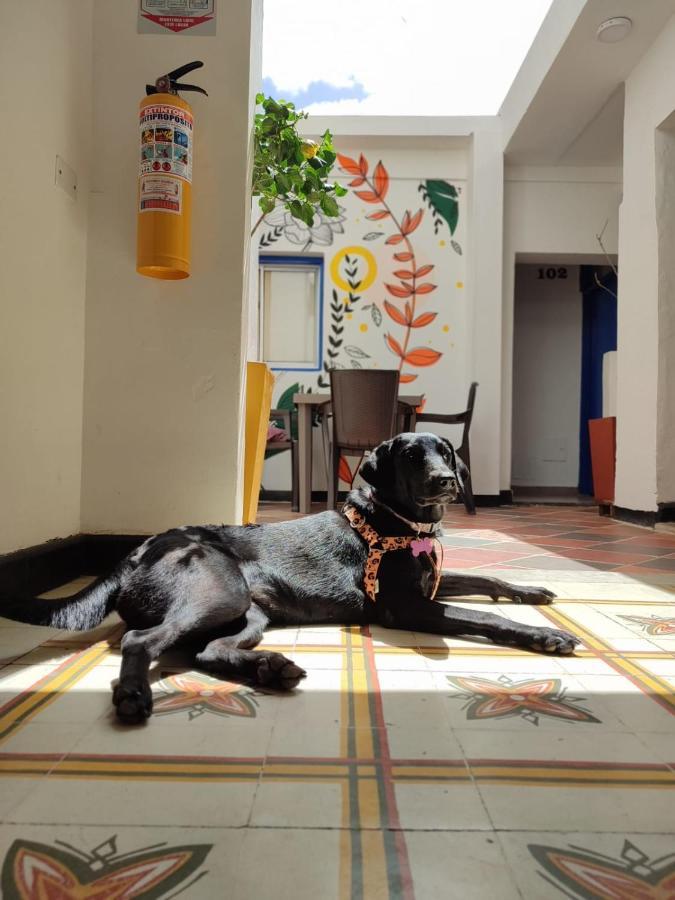 Casa Flor Hostel & Drinks Ríohacha Extérieur photo